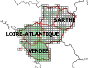 overview